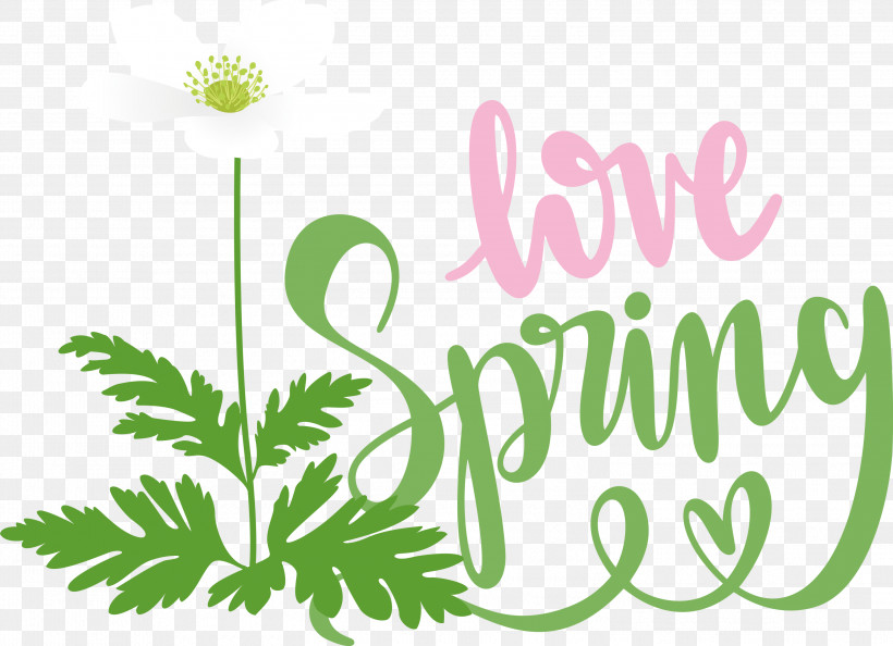 Love Spring Spring, PNG, 2999x2176px, Spring, Floral Design, Green, Herbal Medicine, Leaf Download Free