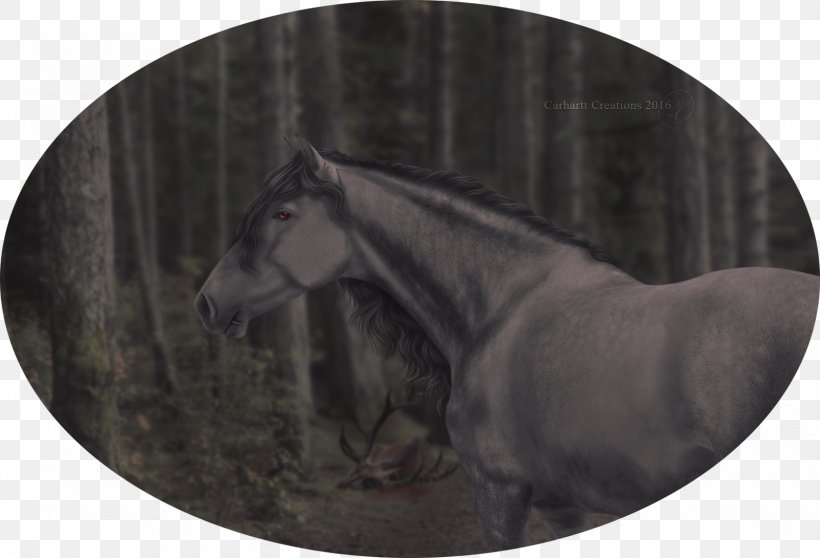 Rein Mustang Stallion Halter Bridle, PNG, 1600x1090px, 2019 Ford Mustang, Rein, Bridle, Ford Mustang, Grey Download Free