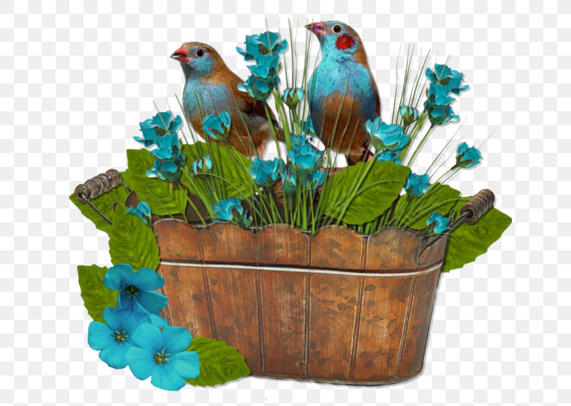 Bird Beak Flowerpot Clip Art, PNG, 650x584px, Bird, Beak, Bluebird, Cobalt Blue, Fauna Download Free