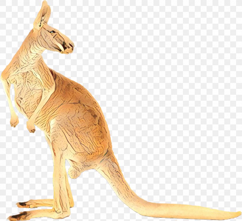 Kangaroo Clip Art Koala Image, PNG, 1853x1688px, Kangaroo, Animal Figure, Australia, Boxing Kangaroo, Figurine Download Free