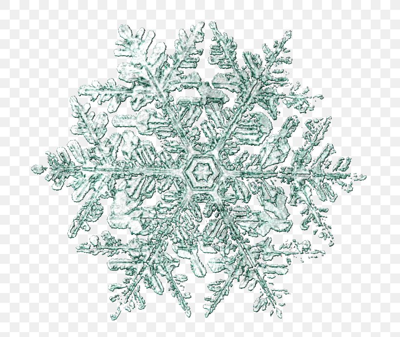 Snowflake Blog Clip Art, PNG, 755x690px, Snowflake, Black And White, Blog, Branch, Christmas Ornament Download Free