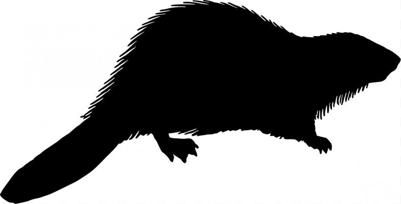 Beaver Silhouette Royalty-free Clip Art, PNG, 1151x587px, Beaver, Animal, Beak, Black And White, Carnivoran Download Free