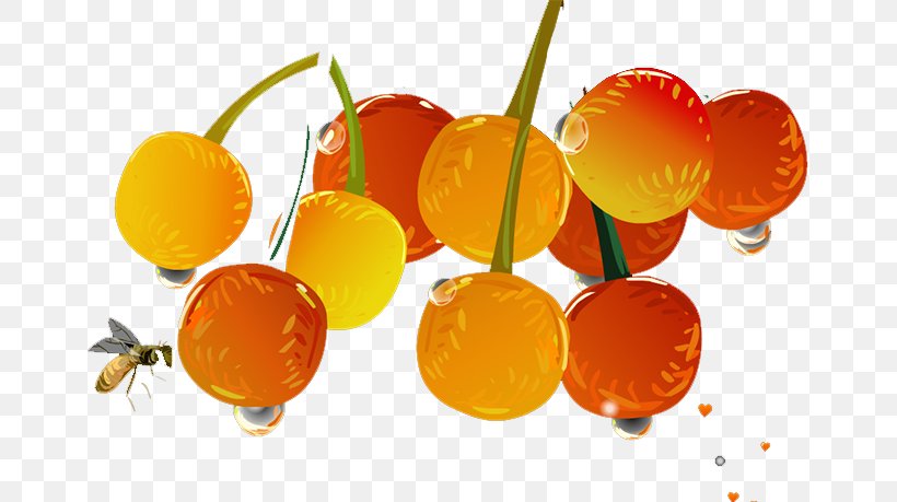 Clementine Tangerine Mandarin Orange, PNG, 659x459px, Clementine, Citrus, Food, Fruit, Mandarin Orange Download Free
