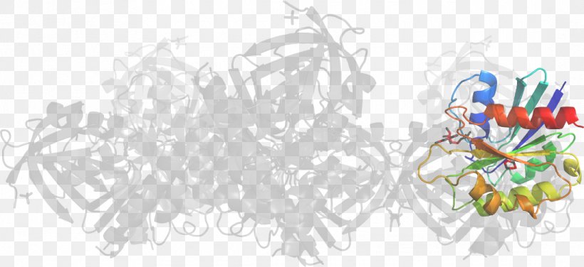 Line Art Graphic Design, PNG, 1090x500px, Line Art, Area, Art, Artwork, Body Jewellery Download Free