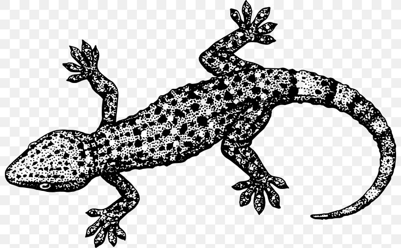 Lizard Gecko Eidechse Reptile Clip Art, PNG, 800x508px, Lizard, Black And White, Cartoon, Common Leopard Gecko, Drawing Download Free