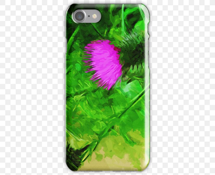 Mobile Phone Accessories Magenta Flowering Plant Wildflower, PNG, 500x667px, Mobile Phone Accessories, Flora, Flower, Flowering Plant, Grass Download Free