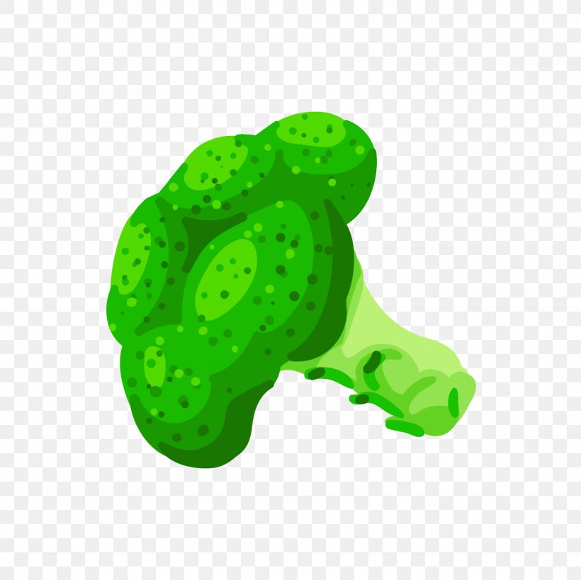 Green Adobe Illustrator Broccoli Cauliflower, PNG, 1600x1600px, Green, Blue, Broccoflower, Broccoli, Cauliflower Download Free