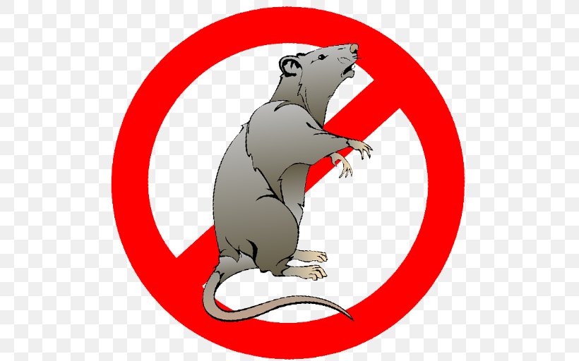 Rat Mus Household Insect Repellents Mobile App Repelente Free Camomila E Aloe Vera Spray, PNG, 512x512px, Rat, App Store, Artwork, Bear, Carnivoran Download Free