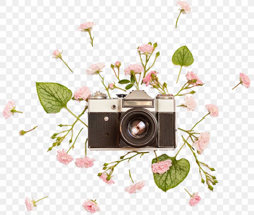 Stock Photography, PNG, 1280x1082px, Stock Photography, Art, Camera, Flora, Floral Design Download Free