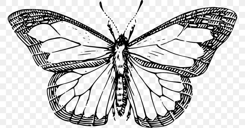 Butterfly Drawing Black And White Line Art Clip Art, PNG, 768x430px, Butterfly, Arthropod, Artwork, Black And White, Brush Footed Butterfly Download Free