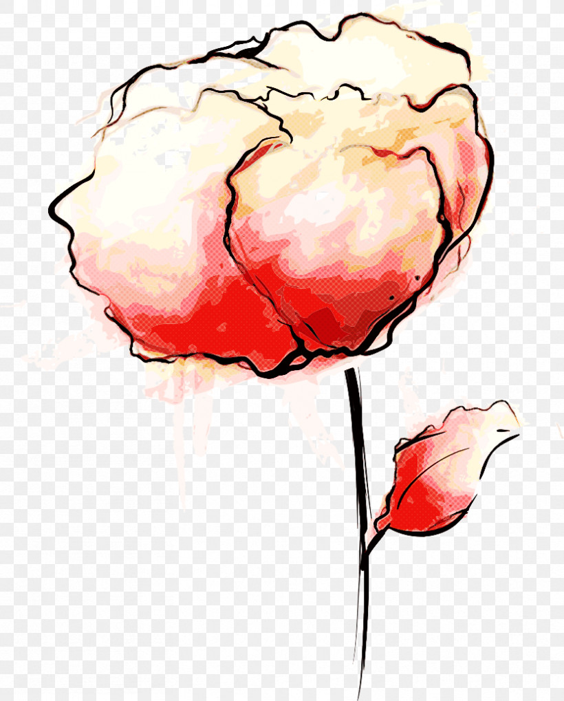 Garden Roses, PNG, 832x1034px, Drawing Flower, Coquelicot, Cut Flowers, Floral Drawing, Flower Download Free