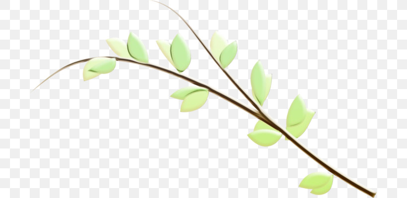 Branch Flower Plant Twig Leaf, PNG, 699x400px, Watercolor, Branch, Bud, Flower, Leaf Download Free