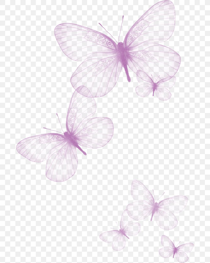 Butterfly Greta Oto Clip Art, PNG, 694x1024px, Butterfly, Brush Footed Butterfly, Color, Drawing, Dryas Iulia Download Free