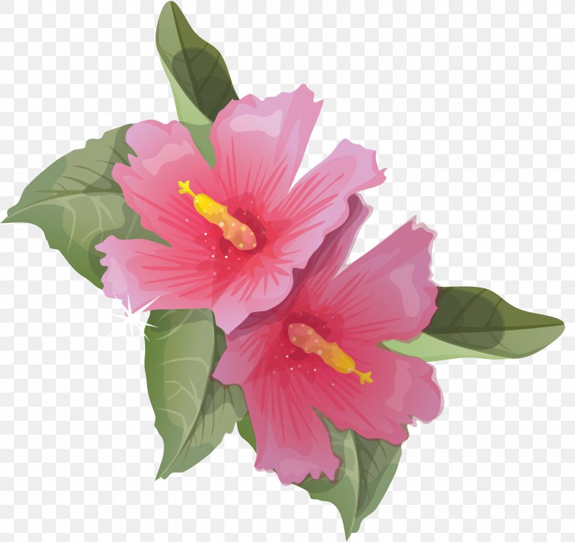 Common Hibiscus Flower Clip Art, PNG, 3043x2870px, Common Hibiscus, Annual Plant, Chinese Hibiscus, Cut Flowers, Digital Image Download Free