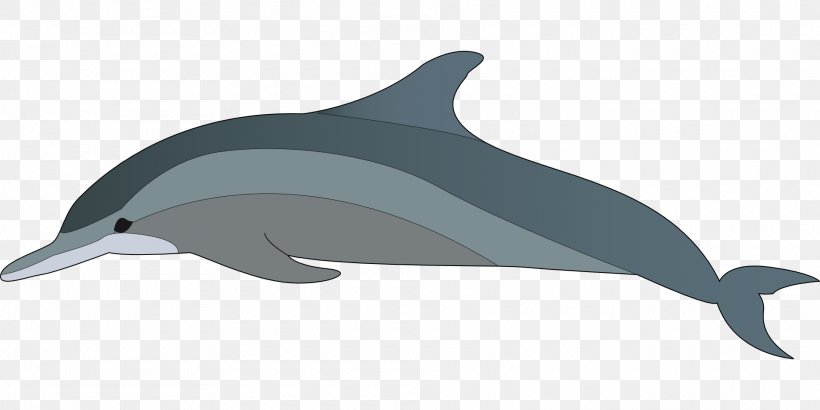 Dolphin Clip Art, PNG, 1920x960px, Dolphin, Beak, Blog, Bottlenose Dolphin, Common Bottlenose Dolphin Download Free