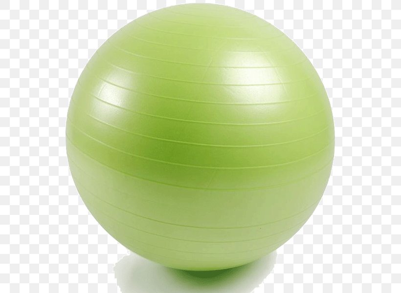 Exercise Balls Physical Fitness Fitness Centre, PNG, 600x600px, Exercise Balls, Ball, Barbell, Dumbbell, Egg Download Free