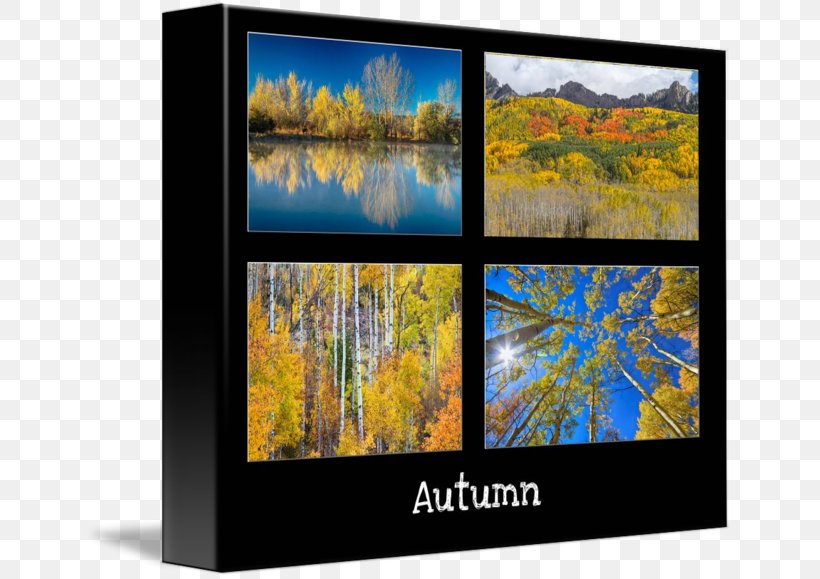 Television Autumn Aspen Modern Art Gallery Wrap, PNG, 650x579px, Television, Art, Aspen, Canvas, Display Device Download Free