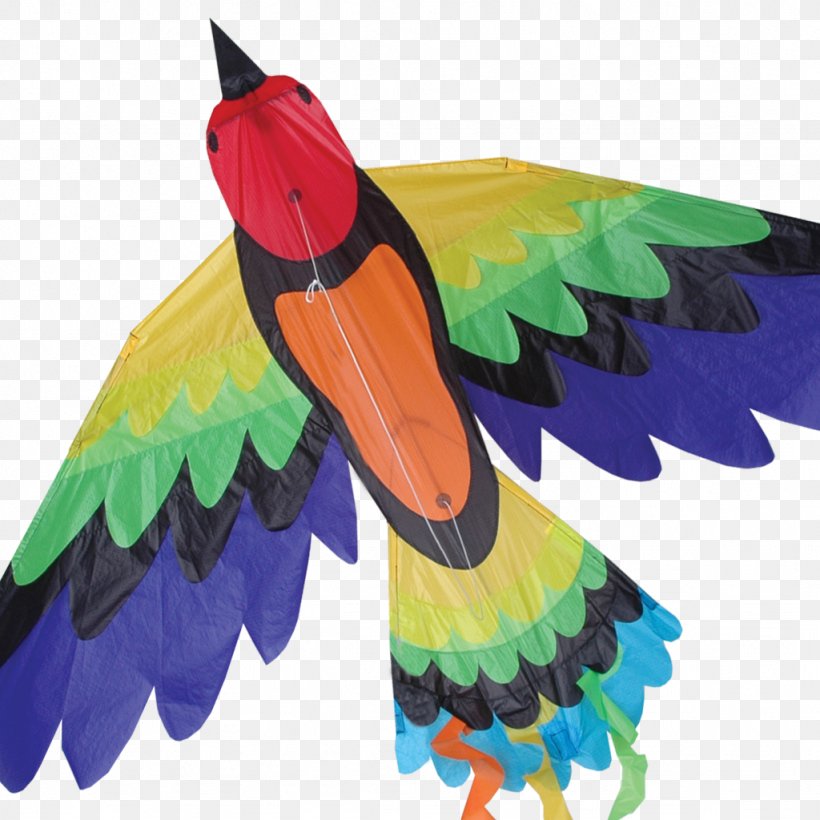 Bird Sport Kite Flying Orange Game, PNG, 1024x1024px, Bird, Beak, Bowed Kite, Box Kite, Fauna Download Free