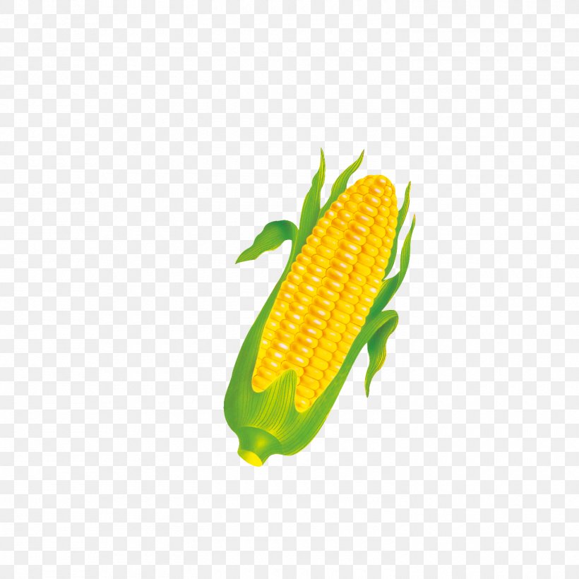 Corn On The Cob Sweet Corn Commodity Orange, PNG, 1500x1500px, Corn On The Cob, Commodity, Food, Fruit, Orange Download Free