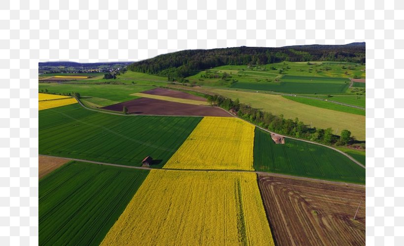 Field Land Lot Plain Grassland Aerial Photography, PNG, 664x500px, Field, Aerial Photography, Grass, Grass Family, Grassland Download Free