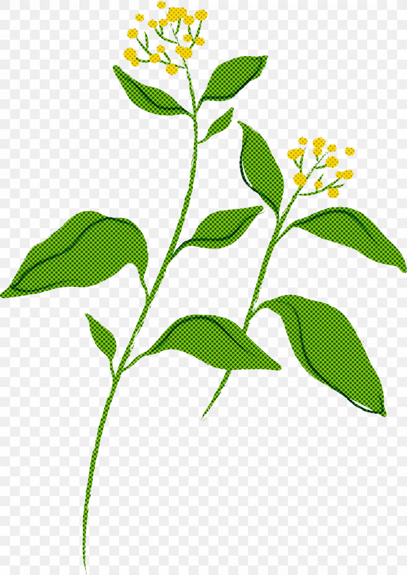 Flower Plant Leaf Plant Stem Herb, PNG, 2121x3000px, Flower, Herb, Leaf, Plant, Plant Stem Download Free