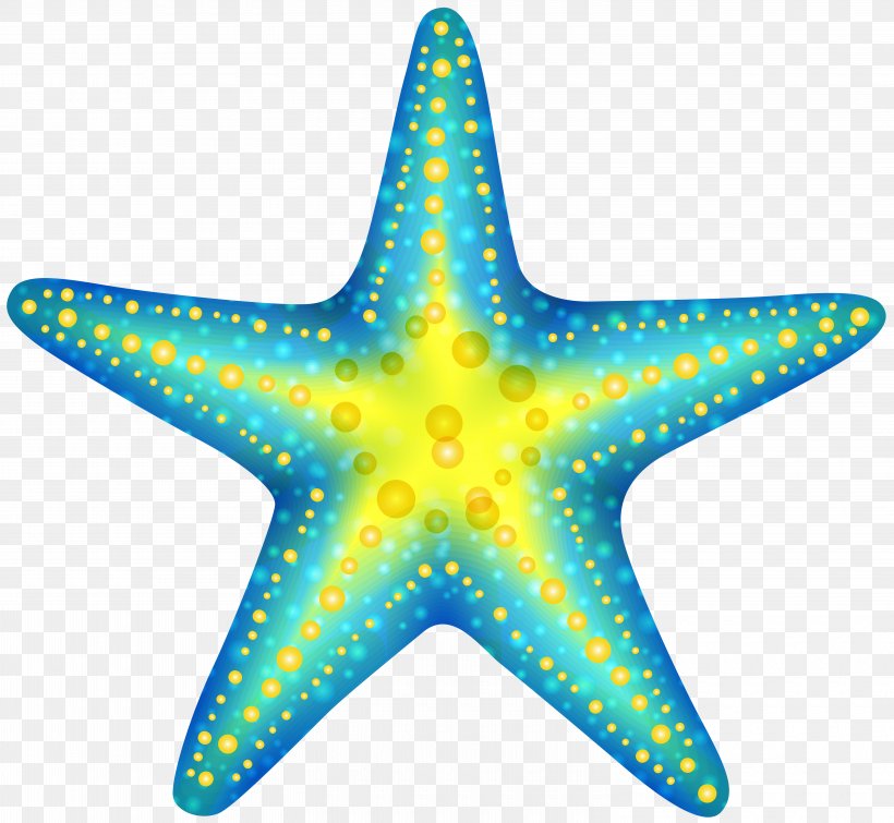 Starfish Clip Art, PNG, 6000x5530px, Starfish, Drawing, Echinoderm, Fish, Free Content Download Free