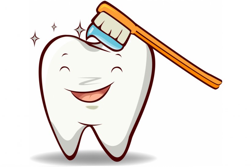 Tooth Brushing Toothbrush Dentist Clip Art, PNG, 1332x888px, Watercolor, Cartoon, Flower, Frame, Heart Download Free