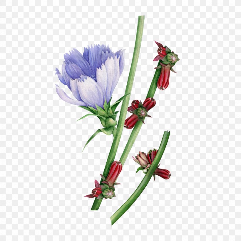 Watercolor: Flowers Watercolor Painting Floral Design, PNG, 1181x1181px, Watercolor Flowers, Color, Cut Flowers, Flora, Floral Design Download Free