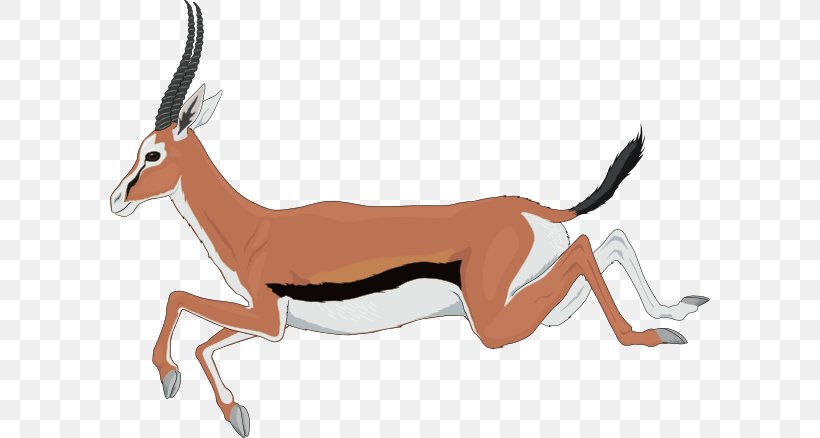 Antelope Gazelle Springbok Clip Art, PNG, 600x438px, Antelope, Carnivoran, Cartoon, Deer, Dog Like Mammal Download Free