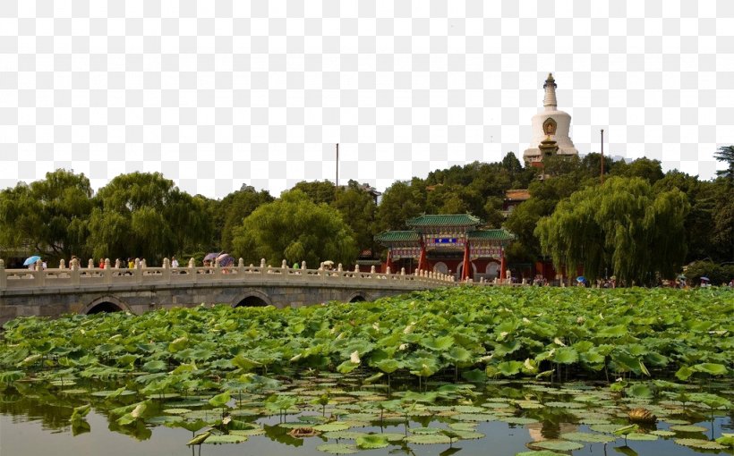 Beihai Park Tiananmen Square Forbidden City Jingshan Park, PNG, 1024x637px, Beihai Park, Beihai, Beijing, Chinese Garden, Elephant Trunk Hill Download Free