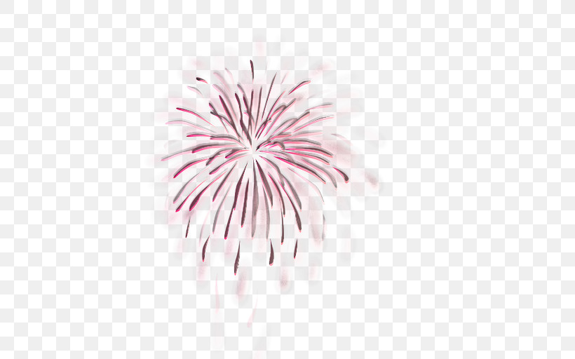 Fireworks Pink Line Event Plant, PNG, 512x512px, Fireworks, Event, Flower, Line, Pink Download Free