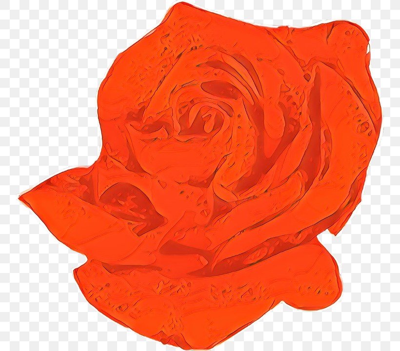 Garden Roses, PNG, 755x720px, Cartoon, Flower, Garden Roses, Hybrid Tea Rose, Orange Download Free