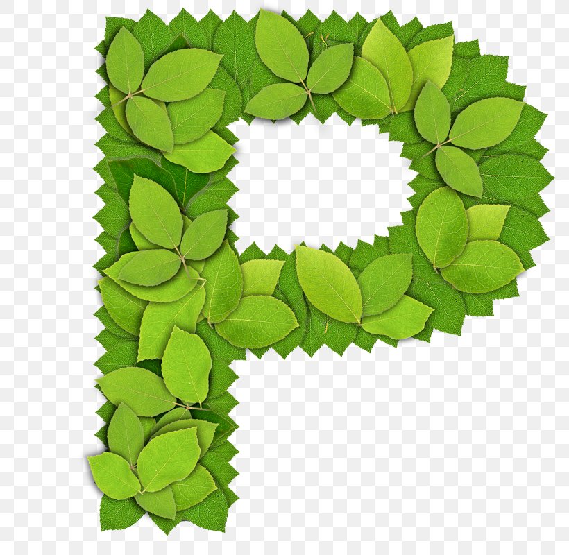P Letter Computer File, PNG, 800x800px, Letter, Calligraphy, Grass, Green, Leaf Download Free