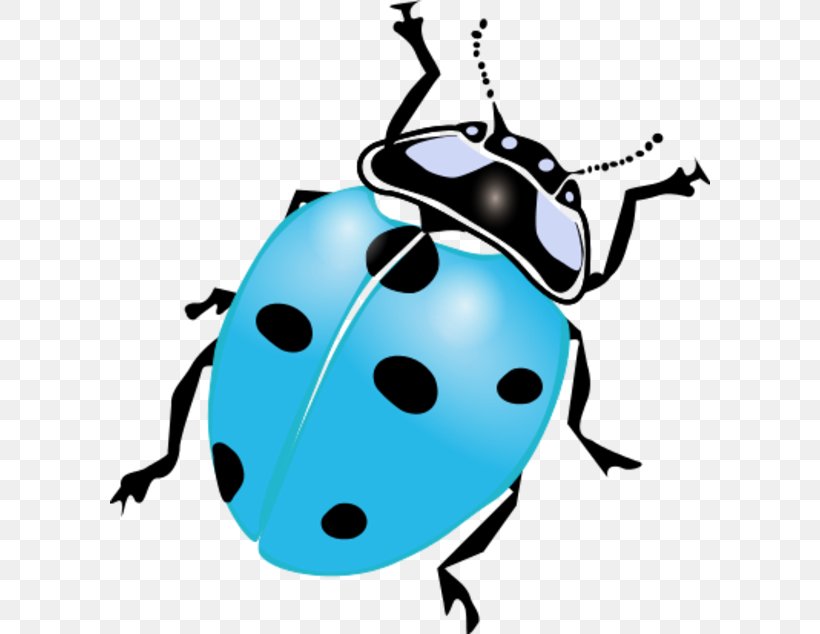 Clip Art Vector Graphics Ladybird Beetle Illustration Drawing, PNG, 600x634px, Ladybird Beetle, Art, Artwork, Beetle, Cartoon Download Free