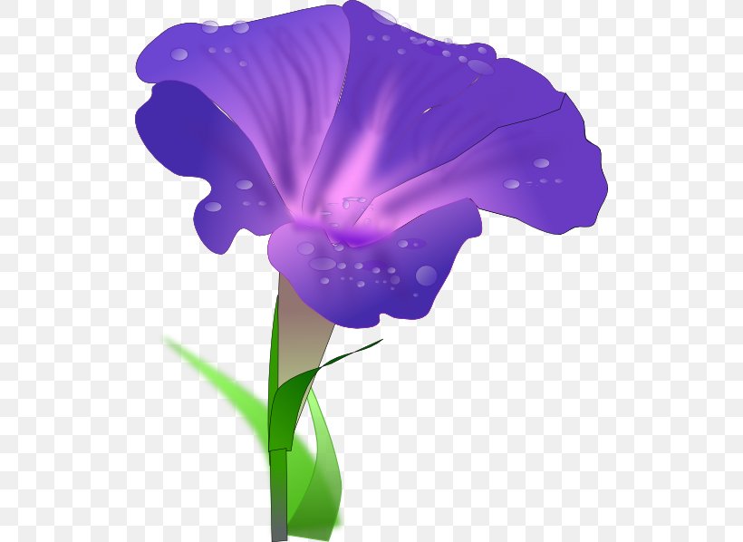 Morning Glory Drawing Clip Art, PNG, 522x598px, Morning Glory, Art, Blog, Drawing, Flower Download Free