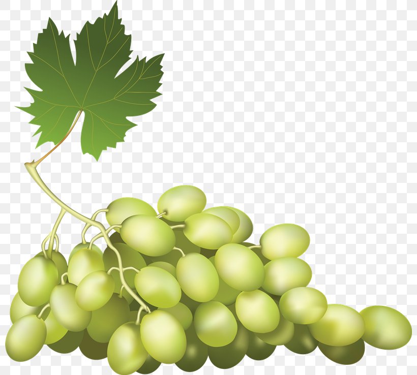 Fruit Grape, PNG, 800x738px, Fruit, Art, Food, Grape, Grape Leaves Download Free