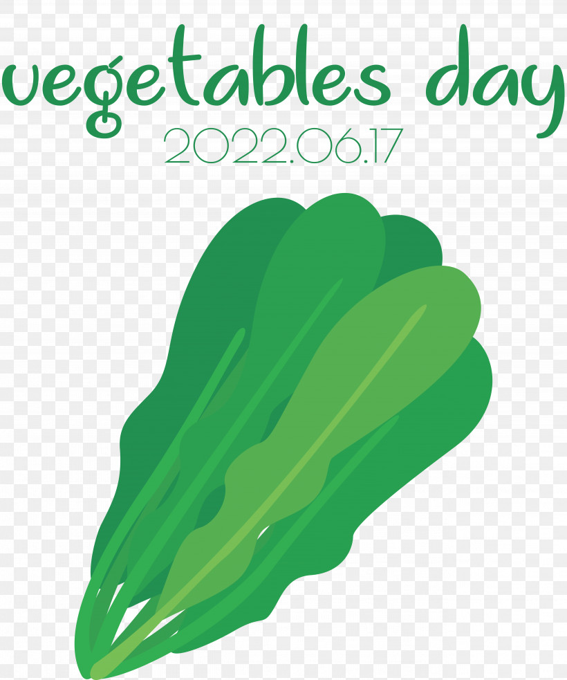 Leaf Vegetable Font Green Line, PNG, 5188x6221px, Leaf, Biology, Geometry, Green, Line Download Free