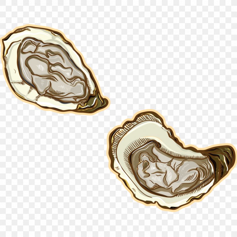 Oyster Mussel Seafood Vector Graphics Shellfish, PNG, 1100x1100px, Oyster, Abalone, Drawing, Fashion Accessory, Food Download Free