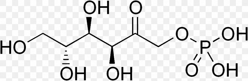Ribose 5-phosphate Ribose-5-phosphate Isomerase Deficiency Chemistry, PNG, 1072x352px, Ribose 5phosphate, Area, Black, Black And White, Brand Download Free
