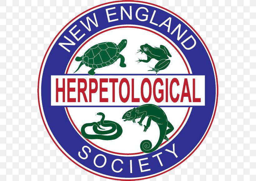 United States Department Of State Herpetology Reptile Organization, PNG, 581x580px, United States, Area, Brand, Education, Herpetological Society Download Free