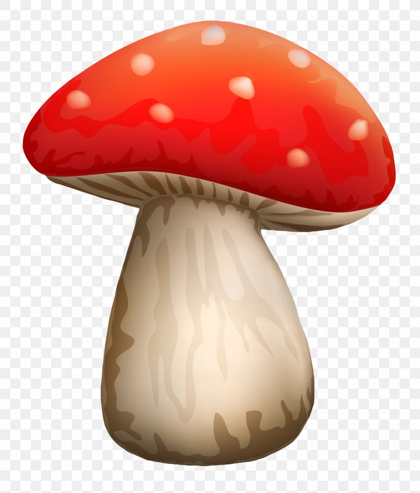 Common Mushroom Fungus Clip Art, PNG, 3251x3825px, Mushroom, Amanita Muscaria, Common Mushroom, Death Cap, Edible Mushroom Download Free