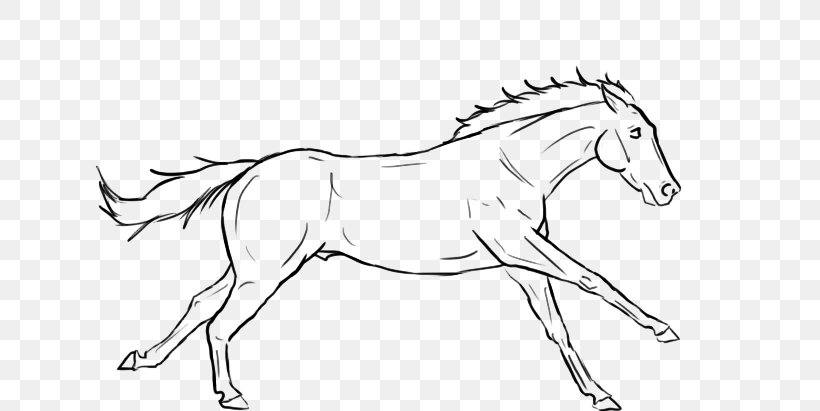 Horse Gallop Outline - Drawing in Black & White, Print or Download