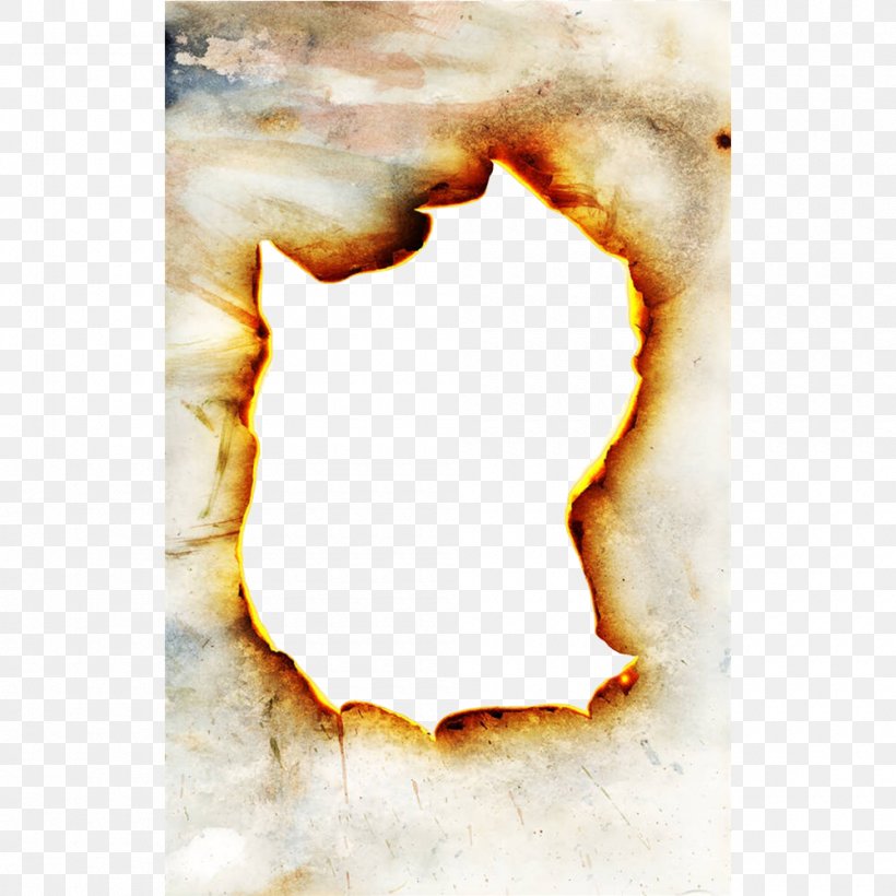 Paper Combustion Flame Fire, PNG, 1000x1000px, Paper, Burn, Combustion, Fire, Flame Download Free