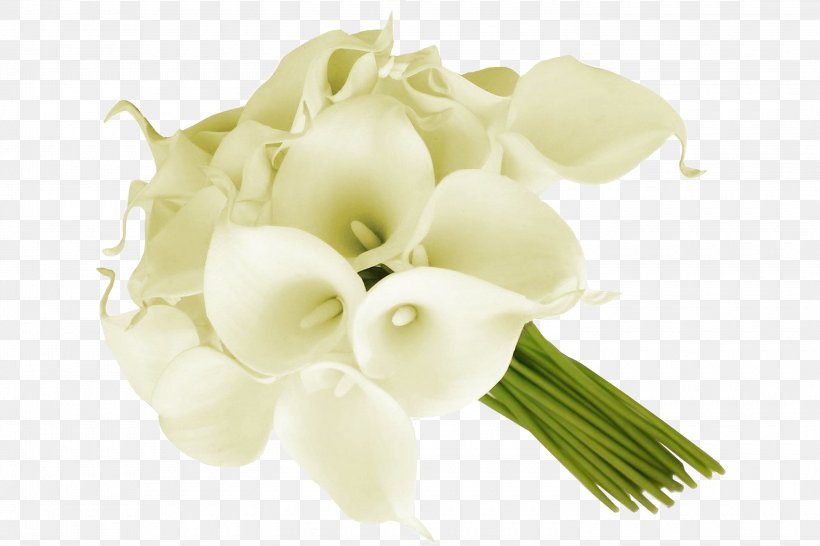 Arum-lily Flower Bouquet Cut Flowers Floral Design, PNG, 3000x2000px, Arumlily, Artificial Flower, Bride, Calla Lily, Cut Flowers Download Free