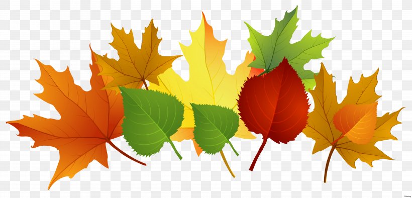 Autumn Leaf Color Clip Art, PNG, 3969x1910px, Leaf, Autumn, Autumn Leaf Color, Document, Drawing Download Free