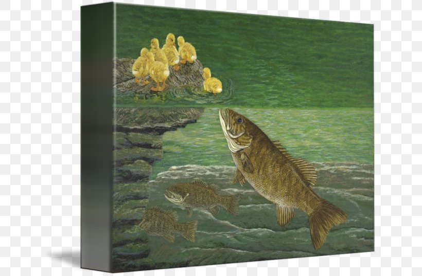 Painting Smallmouth Bass Bass Fishing, PNG, 650x537px, Painting, Art, Bass, Bass Fishing, Clouser Deep Minnow Download Free