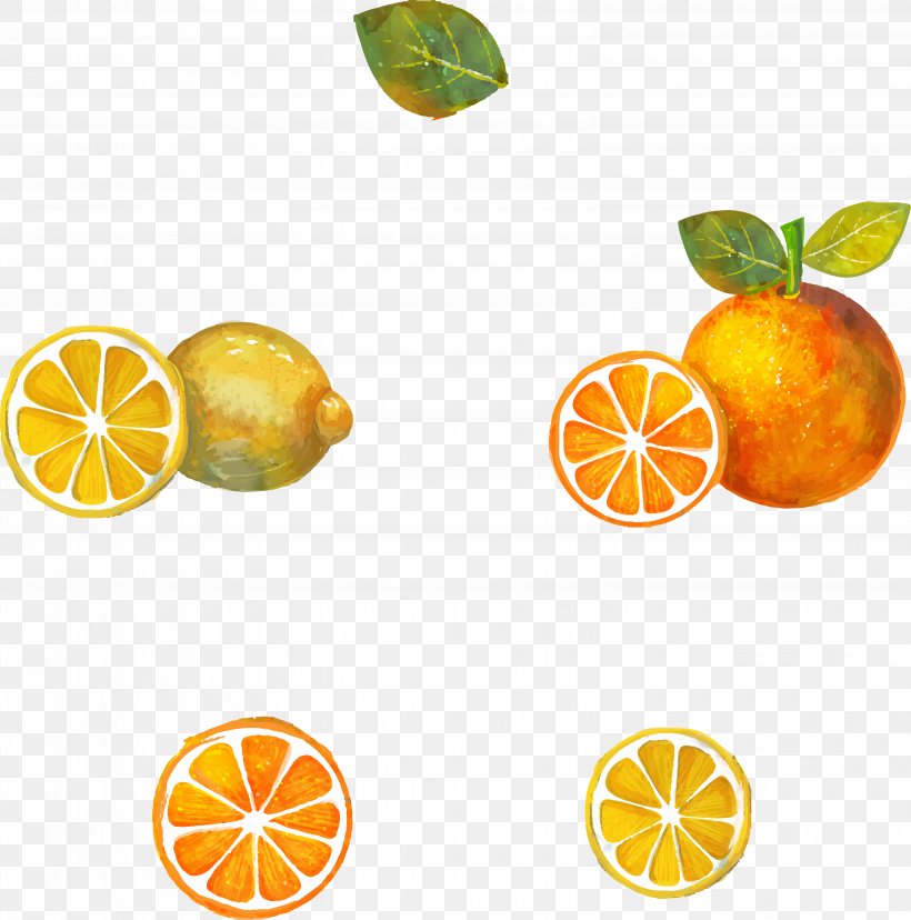 Tea Clementine Yuja-cha Lemon Grapefruit, PNG, 6300x6362px, Tea, Citric Acid, Citrus, Citrus Junos, Clementine Download Free