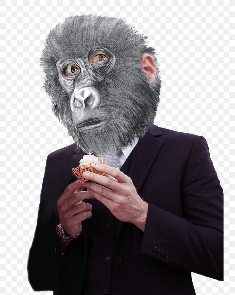 Gorilla Monkey Mask Snout Ape, PNG, 740x1027px, Gorilla, Ape, Costume, Fur, Great Ape Download Free