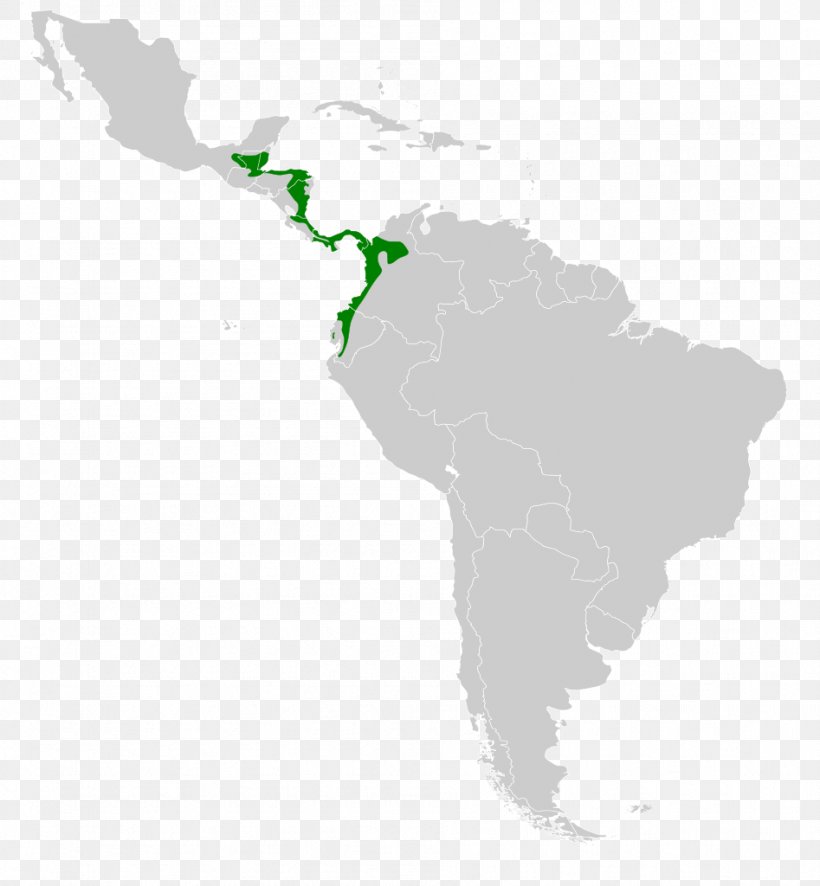 Latin America United States Central America Southern Cone The Guianas, PNG, 947x1024px, Latin America, Americas, Central America, Common Vampire Bat, Geography Download Free