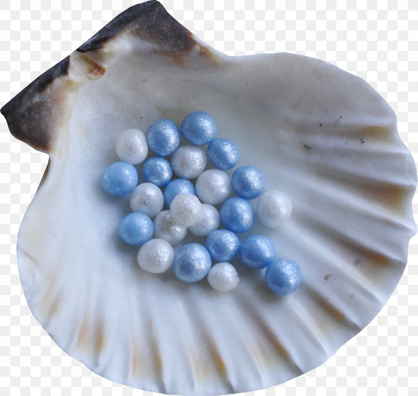 Seashell Restaurant Seashell #6 Molluscs Spiral, PNG, 2192x2080px, Seashell, Bead, Blue, Button, Jewellery Download Free